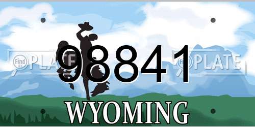 98841 Wyoming License Plate