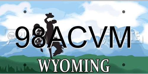 98ACVM Wyoming License Plate
