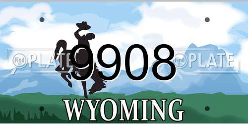 9908 Wyoming License Plate