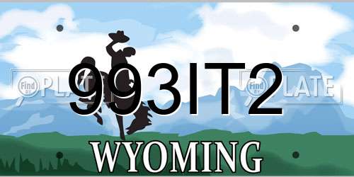 993IT2 Wyoming License Plate