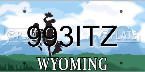 993ITZ Wyoming License Plate