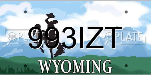 993IZT Wyoming License Plate