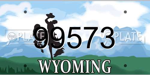 99573 Wyoming License Plate
