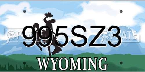 995SZ3 Wyoming License Plate