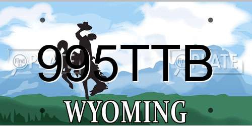 995TTB Wyoming License Plate