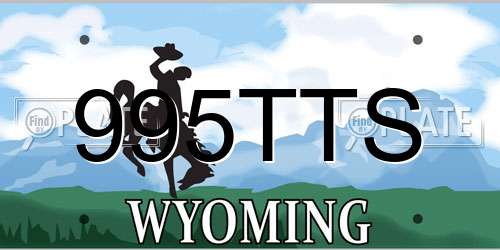 995TTS Wyoming License Plate