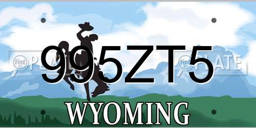 995ZT5 Wyoming License Plate