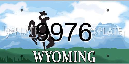 9976 Wyoming License Plate