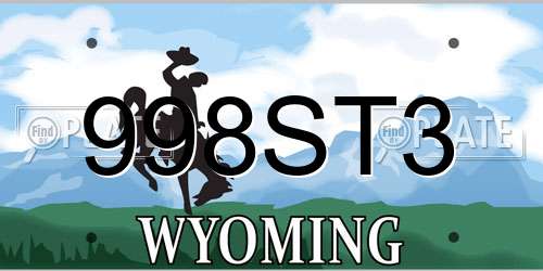 998ST3 Wyoming License Plate