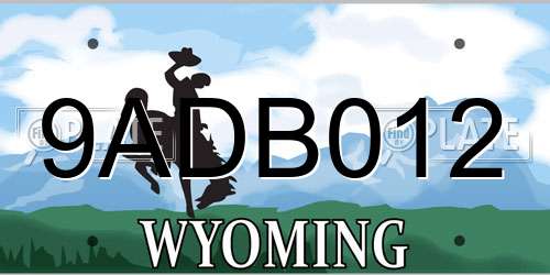 9ADB012 Wyoming License Plate
