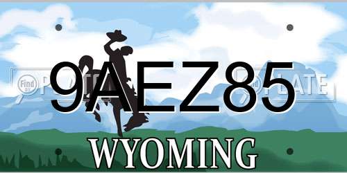 9AEZ85 Wyoming License Plate