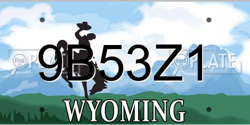 9B53Z1 Wyoming License Plate