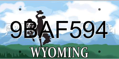 9BAF594 Wyoming License Plate