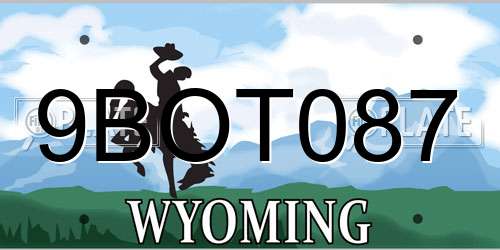 9BOT087 Wyoming License Plate