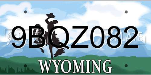 9BQZ082 Wyoming License Plate