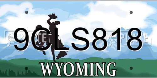 9CLS818 Wyoming License Plate