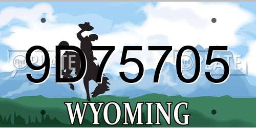9D75705 Wyoming License Plate