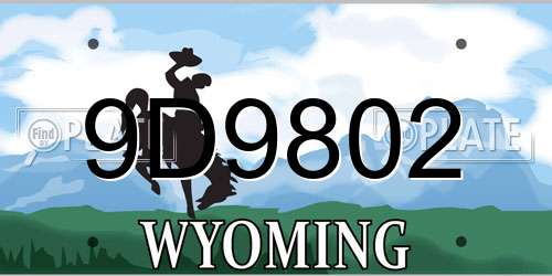 9D9802 Wyoming License Plate