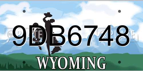9DB6748 Wyoming License Plate