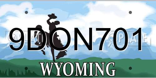 9DON701 Wyoming License Plate