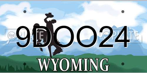 9DOO24 Wyoming License Plate