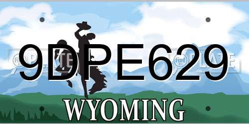9DPE629 Wyoming License Plate