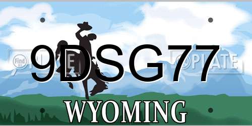 9DSG77 Wyoming License Plate