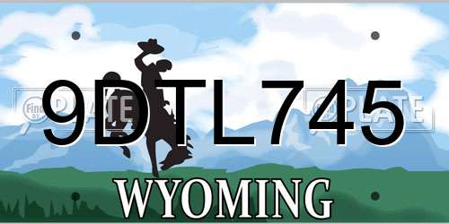 9DTL745 Wyoming License Plate