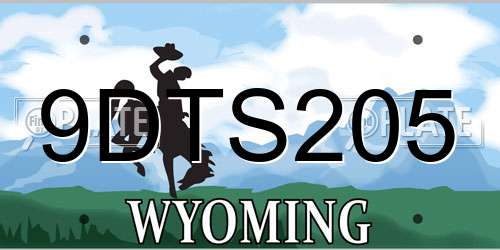9DTS205 Wyoming License Plate