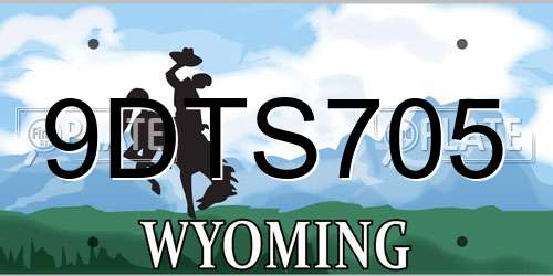 9DTS705 Wyoming License Plate