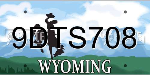 9DTS708 Wyoming License Plate