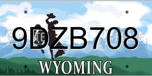 9DZB708 Wyoming License Plate