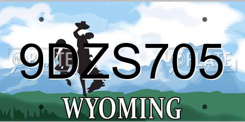 9DZS705 Wyoming License Plate