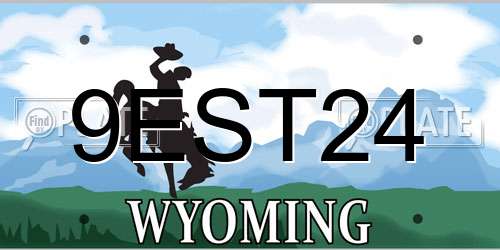 9EST24 Wyoming License Plate