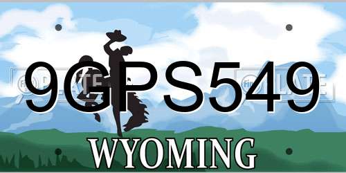9GPS549 Wyoming License Plate