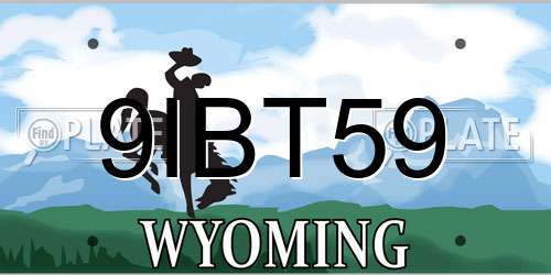 9IBT59 Wyoming License Plate