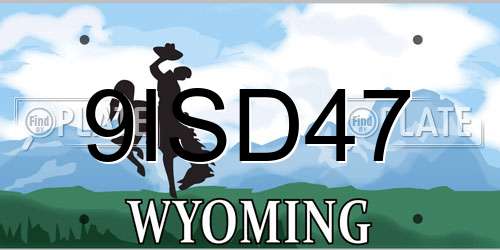 9ISD47 Wyoming License Plate