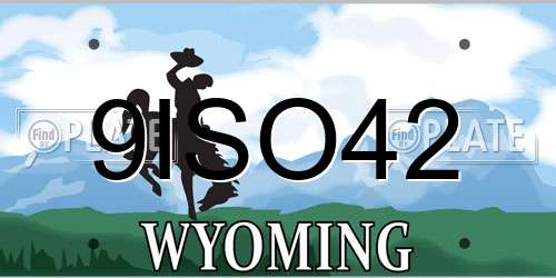 9ISO42 Wyoming License Plate