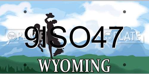 9ISO47 Wyoming License Plate