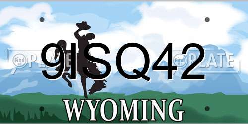 9ISQ42 Wyoming License Plate
