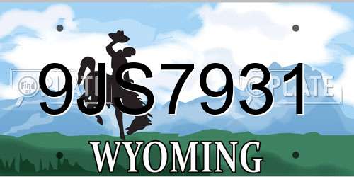 9JS7931 Wyoming License Plate