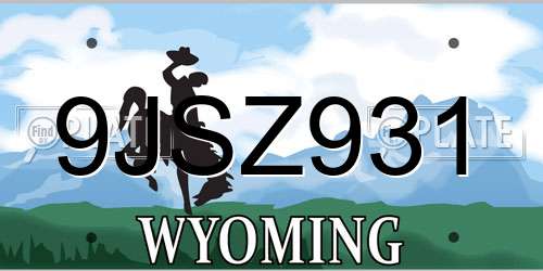 9JSZ931 Wyoming License Plate
