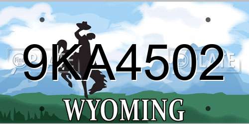 9KA4502 Wyoming License Plate