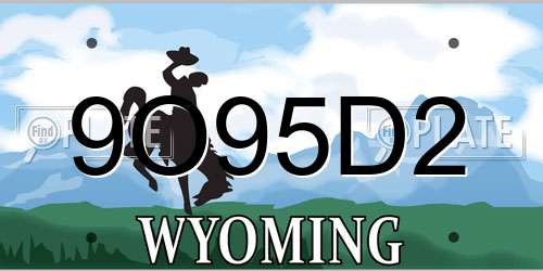 9O95D2 Wyoming License Plate