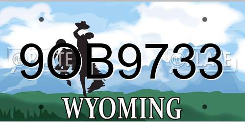 9OB9733 Wyoming License Plate