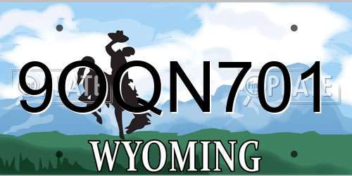 9OQN701 Wyoming License Plate