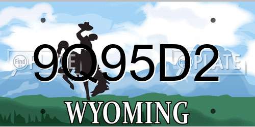 9Q95D2 Wyoming License Plate