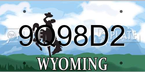9Q98D2 Wyoming License Plate