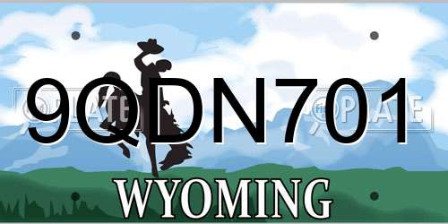 9QDN701 Wyoming License Plate