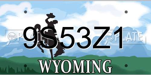 9S53Z1 Wyoming License Plate